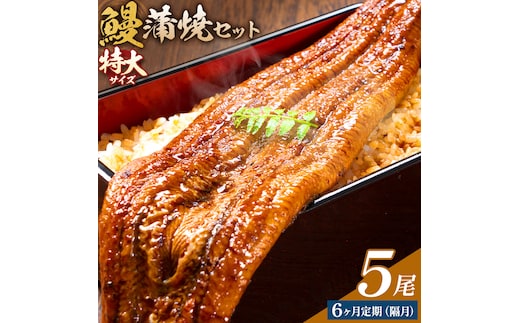 ＼特大サイズ／ 鹿児島県産 鰻蒲焼真空セット！ 5尾 隔月6回定期便 タレ・山椒付！ 株式会社薩摩川内鰻 《お申込みの翌月出荷》 鹿児島県 さつま町 ウナギ 丑の日 うなぎ 刻み グルメ 特大 鰻 蒲焼 真空---stm-ung-19-ev2mo6---