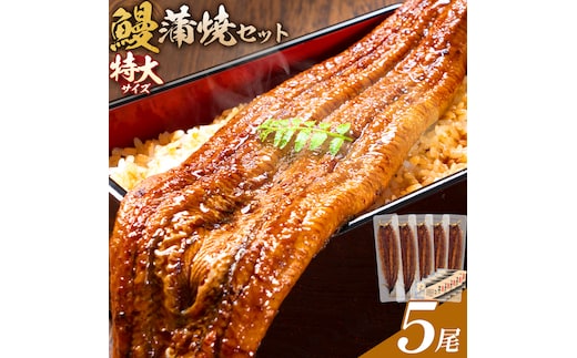 ＼特大サイズ／ 鹿児島県産 鰻蒲焼真空セット！ 5尾 タレ・山椒付！ 株式会社薩摩川内鰻《30日以内に出荷予定(土日祝除く)》 鹿児島県 さつま町 ウナギ 丑の日 うなぎ 刻み グルメ 特大 鰻 蒲焼 真空---stm-ung-13-1100g---