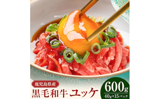 鹿児島県産黒毛和牛ユッケ 600g 40g×15パック 株式会社カミチク《90日以内に出荷予定(土日祝除く)》鹿児島県 さつま町 鹿児島県産 黒毛和牛 ユッケ 生食用 小分け タレ付き---stm-kmc-5-15p---