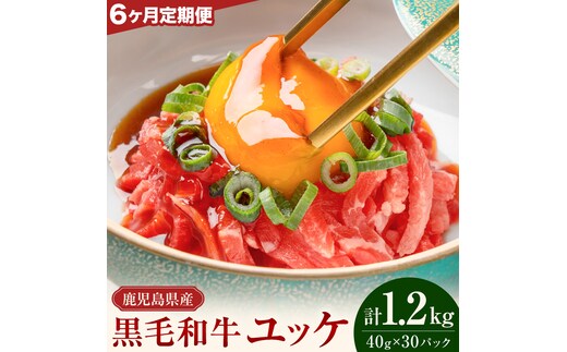 【連続6ヶ月定期便】鹿児島県産黒毛和牛ユッケ 計1.2kg 40g×5パック×6回 株式会社カミチク《お申し込みの翌月から出荷》鹿児島県 さつま町 鹿児島県産 黒毛和牛 ユッケ 生食用 小分け タレ付き 定期便---stm-kmc-7-mo6---