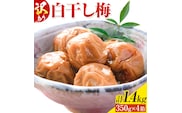 訳あり 梅干し 白干し梅 うめぼし 計1.4kg (350g×4箱) 農事組合法人 梅香丘《30日以内に出荷予定(土日祝除く)》鹿児島県 さつま町 送料無料 梅 うめ ウメボシ ご飯 ご飯のお供 お取り寄せ---stm-umk-19-1400g---
