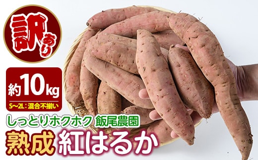 《 訳あり 》飯尾農園 紅はるか 約10kg 芋 いも さつまいも サツマイモ 鹿児島県産 国産 長島町産 べにはるか 熟成【飯尾農園】miio-7232