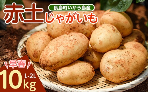 《早春:2月中旬より発送》長島町 いから島産 赤土 じゃがいも10kg 【高橋農園】takahashi-7310