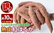 《 訳あり 》飯尾農園 紅はるか 約10kg 芋 いも さつまいも サツマイモ 鹿児島県産 国産 長島町産 べにはるか 熟成【飯尾農園】miio-7232