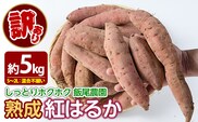 《訳あり》飯尾農園 熟成 紅はるか 約5kg 芋 いも さつまいも サツマイモ 鹿児島県産 国産 長島町産 べにはるか 熟成【飯尾農園】miio-7233