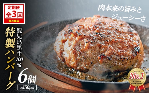 ＜定期便：毎月発送全3回＞鹿児島黒牛特選ハンバーグ(計約900g・約150g×6個)国産 鹿児島 ハンバーグ 冷凍 セット【nixy中山亭】chuzan-1511