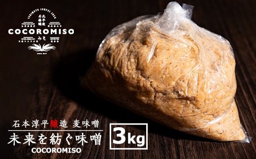 鹿児島県長島町産！未来を紡ぐ味噌 (3kg)【石元淳平醸造】cocoro-7014
