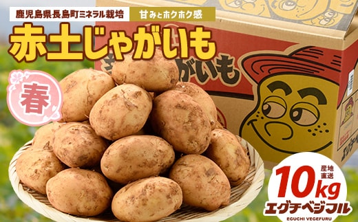長島のミネラル栽培じゃがいも(計10kg)【エグチベジフル(株)】eguchi-7019