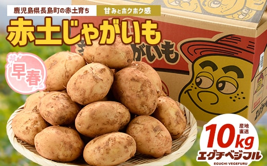 【先行予約】早春長島のジャガイモ(10kg)【エグチベジフル株式会社】eguchi-7021R8