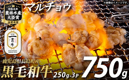 和牛カット済ホルモン（マルチョウ）250g×3パック 計750g ホルモン 牛肉 丸腸 焼肉 ホルモン 牛もつ もつ鍋【宮路ファーム】 f-miyaji-7028