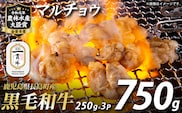 和牛カット済ホルモン（マルチョウ）250g×3パック 計750g ホルモン 牛肉 丸腸 焼肉 ホルモン 牛もつ もつ鍋【宮路ファーム】 f-miyaji-7028