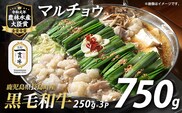 和牛カット済ホルモン（マルチョウ）250g×3パック 計750g ホルモン 牛肉 丸腸 焼肉 ホルモン 牛もつ もつ鍋【宮路ファーム】 f-miyaji-7028