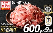 《定期便・毎月全9回》宮路ファームの黒毛和牛切り落とし(300g×2パック) 鹿児島県産 切り落とし 牛肉 すき焼き パック詰め 肉じゃが 牛丼 野菜炒め 農林水産大臣賞 肉 しゃぶしゃぶ 国産黒毛和牛 焼肉 定期便【宮路ファーム】f-miyaji-1389-09R7