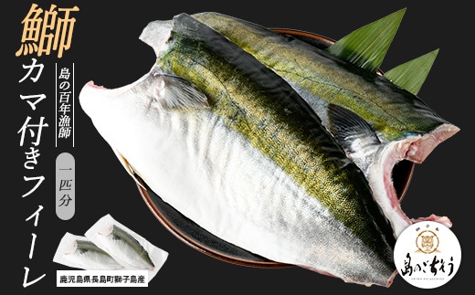 獅子島産 百年漁師の鰤 カマ付きフィーレ２パック (１匹分) 【島のごちそう】gochi-7039