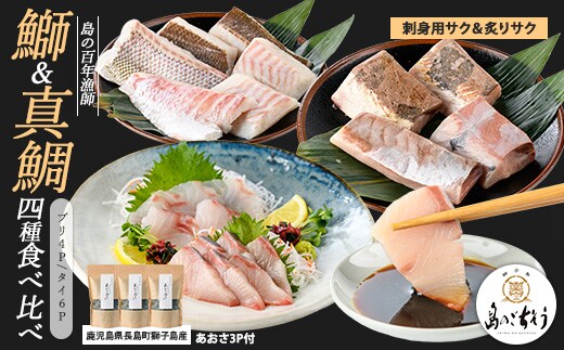 百年漁師の海産物 詰め合わせ【島のごちそう】gochi-7061