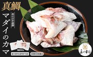 獅子島産 百年漁師の真鯛 カマ (5対10個) 【島のごちそう】gochi-7057