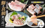 獅子島産 百年漁師の鰤 (約150g×4P) と真鯛 (約100g×6P) お刺身用サク食べ比べ【島のごちそう】gochi-7059