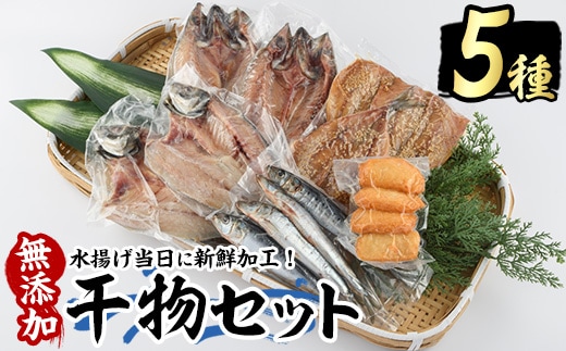 浜のかあちゃん 干物5種セット【浜のかあちゃん】hama-7068