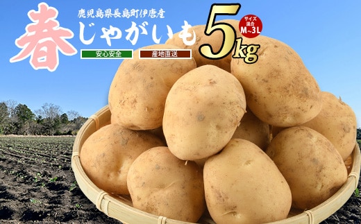 【厳選手選別】みずみずしい新じゃが 春じゃがいも5kg_horino-7073