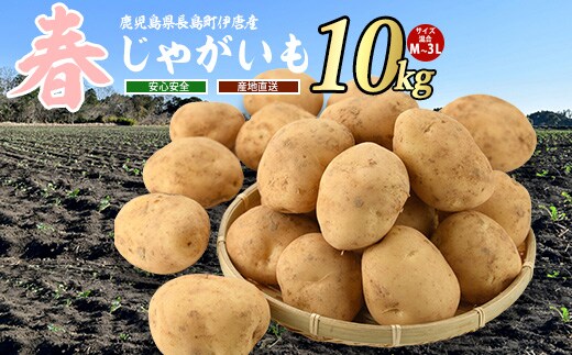 【厳選手選別】みずみずしい新じゃが 春じゃがいも10kg horino-7074
