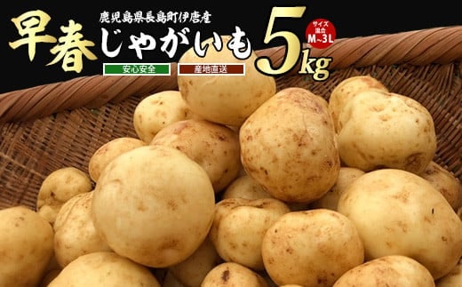 【先行予約】＜数量・期間限定＞ホックホク甘さがある伊唐産早春じゃがいも(約5kg)【旬感foods】horino-7075