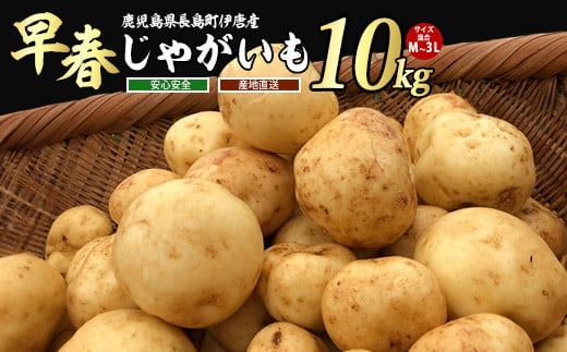 【先行予約】＜数量・期間限定＞ホックホク甘さがある伊唐産早春じゃがいも(約10kg)【旬感foods】horino-7076