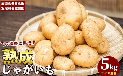 【先行予約】和喜雄さんといつみさんの熟成じゃがいも5kg【飯尾和喜雄農園】iio-7085