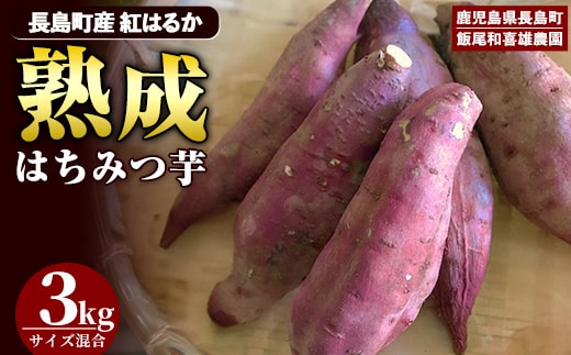 【12月中旬以降発送】〈数量限定〉和喜雄さんといつみさんのはちみつ芋(計3kg)【飯尾和喜雄農園】iio-7086