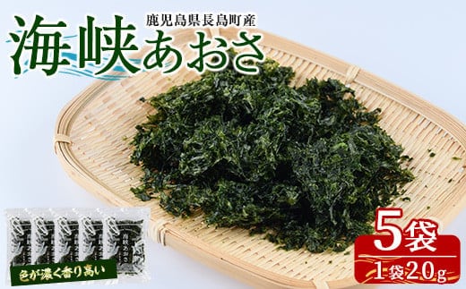 鹿児島県長島町産 乾燥あおさ(100g)【礒永水産】iso-7100