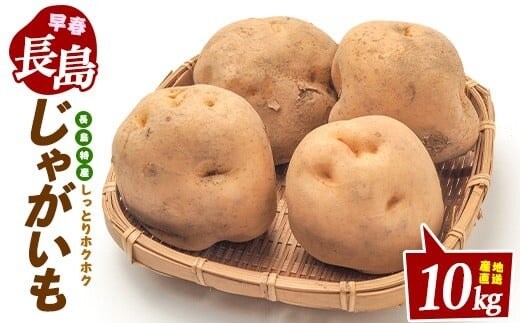 長島町特産早春バレイショ(10kg)鹿児島県 長島町 じゃがいも ばれいしょ 芋 早春【鹿児島いずみ農業協同組合】ja-7109