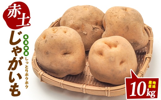 【期間限定】長島地区特産 赤土バレイショ (計10kg)じゃがいも 【鹿児島いずみ農業協同組合】ja-7107