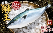 【10月以降順次発送】テレビで紹介ぶりの王様「 鰤王 」 まるごと 1本 ラウンド 先行予約 産地直送 長島町 特産品 ブランド 鰤 冷蔵 ふるさと納税 ぶり 刺身 ぶりしゃぶ ぶり大根 海鮮丼【JFA】jfa-7115