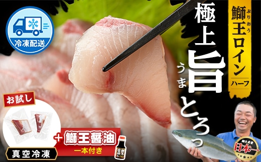 【冷凍】ぶりの王様「 鰤王 」お試しスキンレスロインハーフ 2P入り【鰤王しょう油付】 ぶり ブリ 鰤 ぶりしゃぶ たたき 産地直送 新鮮 旨味が抜群の 長島町 特産品【JFA】jfa-1679B