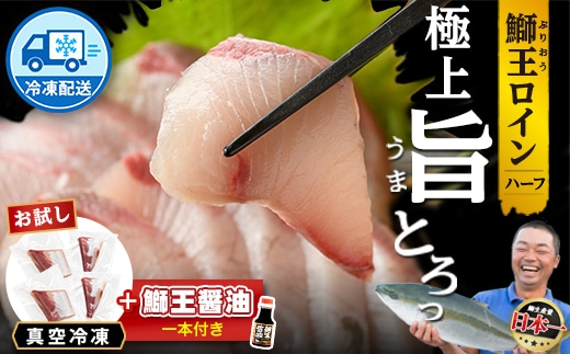【冷凍】ぶりの王様「 鰤王 」お試しスキンレスロインハーフ 4P入り【鰤王しょう油付】 ぶり ブリ 鰤 ぶりしゃぶ たたき 産地直送 新鮮 旨味が抜群の 長島町 特産品【JFA】jfa-1680B