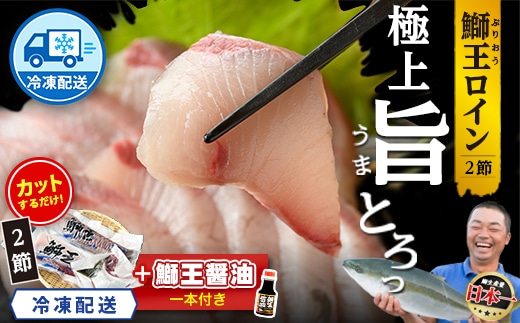 【冷凍】【10月以降順次発送】【切って盛るだけ】『旅サラダ』で紹介ぶりの王様「 鰤王 」 ロイン 2節 (約1.0kg～)【鰤王しょう油付】 半身 産地直送 新鮮 旨味が抜群の 長島町 特産品 ブランド ぶり 鰤 ブリ 切り身 真空 刺身 ぶりしゃぶ しゃぶしゃぶ 魚 魚介 人気 ランキング 【JFA】jfa-1678B