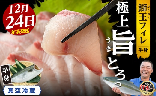 ＼年末発送 先行予約／＜数量限定＞【2026年12月24日発送】『旅サラダ』で紹介ぶりの王様「 鰤王 」 フィレ 半身 (約1.2～1.5kg・フィレ1枚) 産地直送 新鮮 旨味が抜群の 長島町 特産品 ブランド ぶり 鰤 ブリ 切り身 真空 冷蔵 刺身 ぶりしゃぶ しゃぶしゃぶ 魚 魚介 人気 ランキング 年末年始発送 【JFA】jfa-7006-24