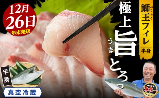＼年末発送 先行予約／＜数量限定＞【2026年12月26日発送】『旅サラダ』で紹介ぶりの王様「 鰤王 」 フィレ 半身 (約1.2～1.5kg・フィレ1枚) 産地直送 新鮮 旨味が抜群の 長島町 特産品 ブランド ぶり 鰤 ブリ 切り身 真空 冷蔵 刺身 ぶりしゃぶ しゃぶしゃぶ 魚 魚介 人気 ランキング 年末年始発送【JFA】jfa-7006-26