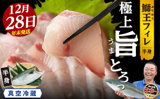 ＜数量限定＞【2025年12月28日発送】『旅サラダ』で紹介ぶりの王様「 鰤王 」 フィレ 半身 (約1.2~1.5kg・フィレ1枚) 産地直送 新鮮 旨味が抜群の 長島町 特産品 ブランド ぶり 鰤 ブリ 切り身 真空 冷蔵 刺身 ぶりしゃぶ しゃぶしゃぶ 魚 魚介 人気 ランキング 年末年始発送 【JFA】jfa-7006-28