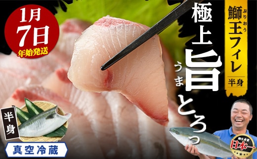 ＼年始発送 先行予約／＜数量限定＞【2027年1月7日発送】『旅サラダ』で紹介ぶりの王様「 鰤王 」 フィレ 半身 (約1.2～1.5kg・フィレ1枚) 産地直送 新鮮 旨味が抜群の 長島町 特産品 ブランド ぶり 鰤 ブリ 切り身 真空 冷蔵 刺身 ぶりしゃぶ しゃぶしゃぶ 魚 魚介 人気 ランキング 年末年始発送 【JFA】jfa-7006-07