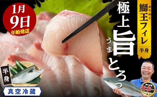 ＼年始発送 先行予約／＜数量限定＞【2027年1月9日発送】『旅サラダ』で紹介ぶりの王様「 鰤王 」 フィレ 半身 (約1.2～1.5kg・フィレ1枚) 産地直送 新鮮 旨味が抜群の 長島町 特産品 ブランド ぶり 鰤 ブリ 切り身 真空 冷蔵 刺身 ぶりしゃぶ しゃぶしゃぶ 魚 魚介 人気 ランキング 年末年始発送 【JFA】jfa-7006-09
