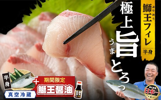 【期間限定特別寄附額+鰤王醤油付き】『旅サラダ』で紹介 ぶりの王様「 鰤王 」 フィレ 半身 (約1.2～・フィレ1枚) 産地直送 新鮮 旨味が抜群の 長島町 特産品 ブランド ぶり 鰤 ブリ 切り身 真空 冷蔵 刺身 ぶりしゃぶ しゃぶしゃぶ 魚 魚介 人気 ランキング 【JFA】jfa-1629