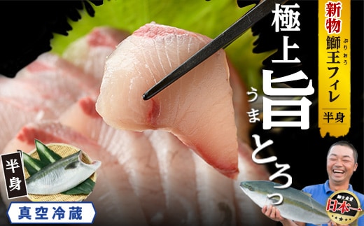 【14日前後で発送中】 『旅サラダ』で紹介ぶりの王様 新物 「 鰤王 」 フィレ 半身 (約0.8kg・フィレ1枚) 産地直送 新鮮 旨味が抜群の 長島町 特産品 ブランド ぶり 鰤 ブリ 切り身 真空 冷蔵 刺身 ぶりしゃぶ しゃぶしゃぶ 魚 魚介 人気 ランキング 【JFA】jfa-7126R8