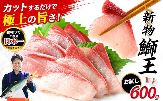  ぶりの王様「 鰤王 」新物 スキンレスポーション 4P入り 冷蔵 でお届け ぶり ブリ 鰤 ぶりしゃぶ たたき 産地直送 新鮮 旨味が抜群の 長島町 特産品【JFA】jfa-1645