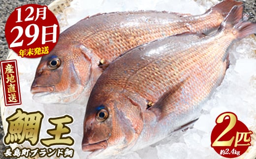 【2025年12月29日発送】長島町特産「鯛王」(2匹・約2.4kg) 産地直送 新鮮 旨味が抜群の 長島町 特産品 ブランド 真鯛 をまるごと 一匹 楽しめる 刺身 鯛めし 鯛茶漬け 鯛しゃぶ 鯛刺身 鮮魚 冷蔵 年末発送【JFA】jfa-22-1229R7