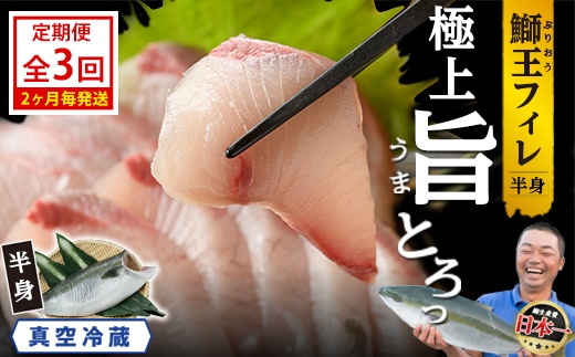 ＜定期便・2ヶ月毎発送 全3回＞「鰤王」 フィレ 半身 (フィレ1枚) 定期便 約0.8kg～鹿児島県 長島町 産産地直送 新鮮 ブランド ぶり 鰤 ブリ 切り身 刺身 ぶりしゃぶ しゃぶしゃぶ 魚 魚介 人気 ランキング【JFA】jfa-7006S2