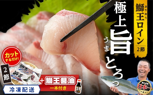 【冷凍】【10月以降順次発送】【切って盛るだけ】『旅サラダ』で紹介ぶりの王様「 鰤王 」 ロイン 2節 (約1.0kg～)【鰤王しょう油付】 半身 産地直送 新鮮 旨味が抜群の 長島町 特産品 ブランド ぶり 鰤 ブリ 切り身 真空 刺身 ぶりしゃぶ しゃぶしゃぶ 魚 魚介 人気 ランキング 【JFA】jfa-1678B