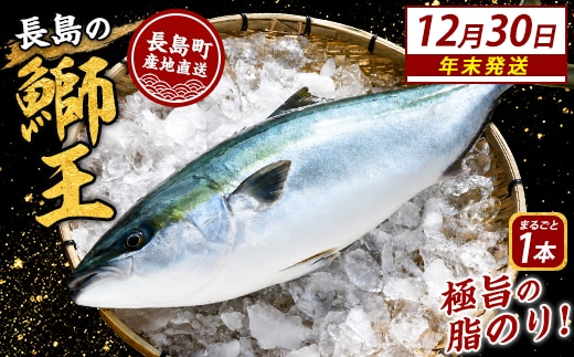 ＼年末発送 先行予約／【12月30日発送】鰤王ラウンド（約3.5㎏～）テレビで紹介ぶりの王様「 鰤王 」 まるごと 1本 ラウンド 先行予約 産地直送 長島町 特産品 ブランド 鰤 冷蔵 ふるさと納税 ぶり 刺身 ぶりしゃぶ ぶり大根 海鮮丼 年末年始発送 【JFA】jfa-7115-30