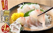 長島町特産「鯛王」 フィレ 半身 4枚入り カマ付 (約1.6kg) 産地直送 新鮮 旨味が抜群の 長島町 特産品 ブランド 刺身 鯛めし 鯛茶漬け 鯛しゃぶ 鯛刺身 鮮魚 冷蔵 【JFA】jfa-7119