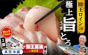 【冷蔵】【10月以降順次発送】【切って盛るだけ】『旅サラダ』で紹介ぶりの王様「 鰤王 」 ロイン 2節 (約1.0kg～)【鰤王しょう油付】 半身 産地直送 新鮮 旨味が抜群の 長島町 特産品 ブランド ぶり 鰤 ブリ 切り身 真空 冷蔵 刺身 ぶりしゃぶ しゃぶしゃぶ 魚 魚介 人気 ランキング 【JFA】jfa-1678A