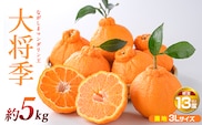 ながしまマンダリン王【露地】(大将季) 約5kg【ながしまマンダリングループ】mandarin-7197